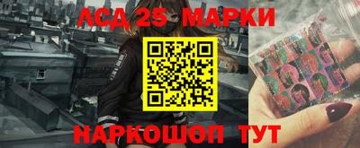 гидропоника Можга