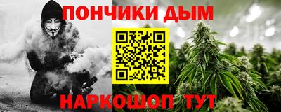 гидропоника Можга