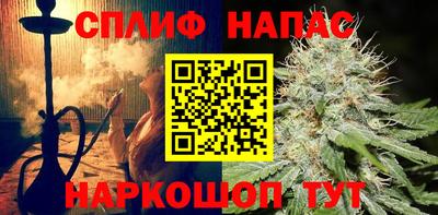 гидропоника Можга