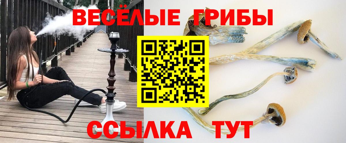Владикавказ  Псилоцибиновые грибы Psilocybe  Галлюциногенные грибы Cubensis  Вход с VPN 